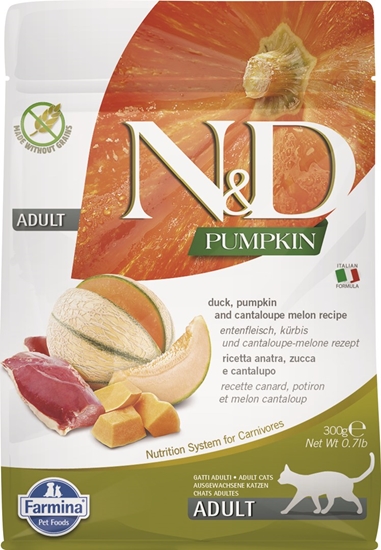 Picture of FARMINA N&D Pumpkin Cat Duck and Cantaloupe Melon Adult - dry cat food - 300 g
