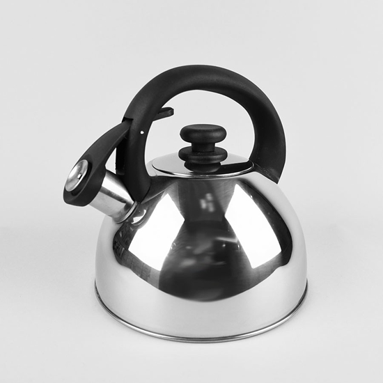 Изображение Feel-Maestro MR1302 kettle 2.5 L Stainless steel