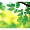 Picture of Fellowes Earth Series Mousepad Leaves