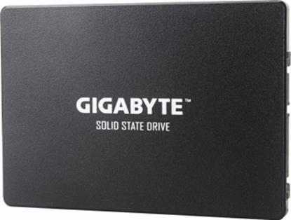 Изображение Gigabyte GP-GSTFS 256GB