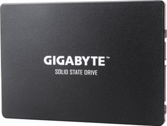 Изображение Gigabyte GP-GSTFS 256GB