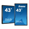 Изображение Iiyama ProLite T4362AS-B1 - 43" Diagonal Class (42.5" viewable) LED-backlit LCD display - interactive digital signage - with touchscreen (multi touch) - Android - 4K UHD (2160p) 3840 x 2160 - black, matte finish