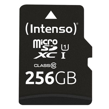 Attēls no Intenso microSDXC          256GB Class 10 UHS-I U1 Performance