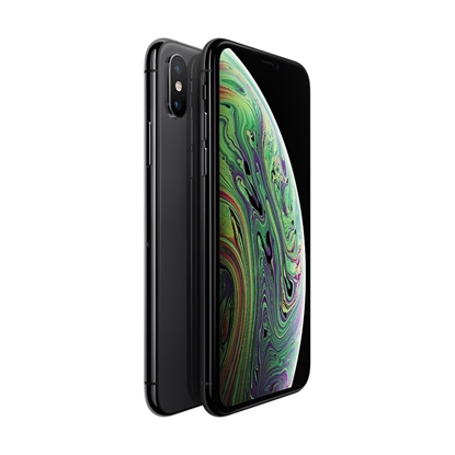 Picture of iPhone XS 256GB Space Gray (lietots, stāvoklis B)