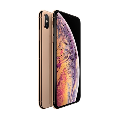 Picture of iPhone XS Max 256GB Gold (lietots, stāvoklis A)
