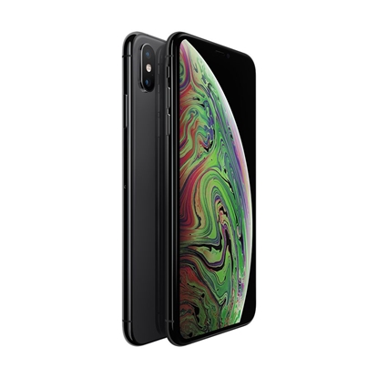 Picture of iPhone XS Max 256GB Space Gray (lietots, stāvoklis B)