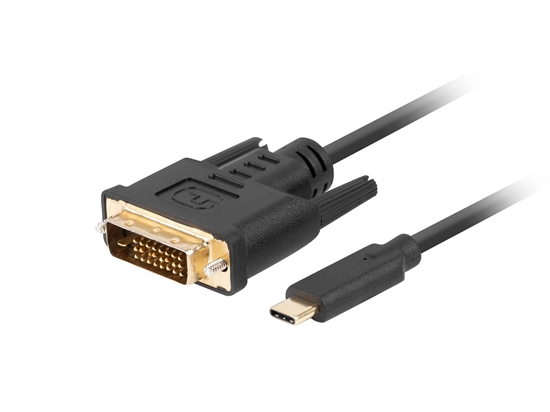 Picture of Lanberg CA-CMDV-10CU-0018-BK video cable adapter 1.8 m USB Type-C DVI-D Black