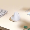 Изображение Logitech Lift for Mac Vertical Ergonomic Mouse