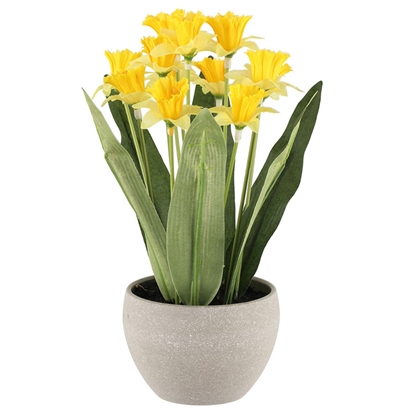 Изображение Mākslīgie augi 4Living Narcise 24cm