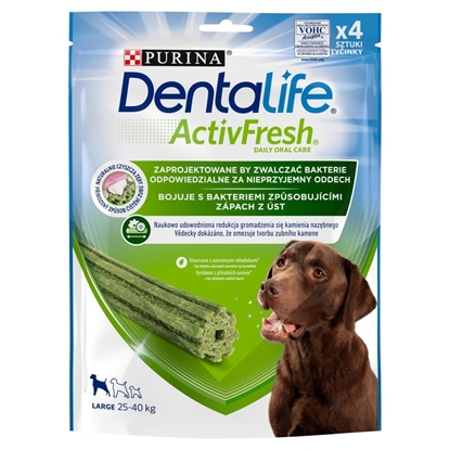 Picture of PURINA Dentalife Active Fresh Large - Dental snack for dogs - 142g