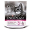 Picture of Purina PRO PLAN Delicate Junior Dry Cat Food- Dry cat food- 1.5 kg