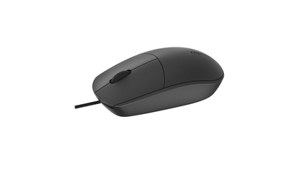Picture of Rapoo N100 black Optical Mouse
