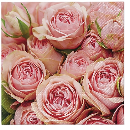 Изображение Salvetes 33x33cm Lots of Roses