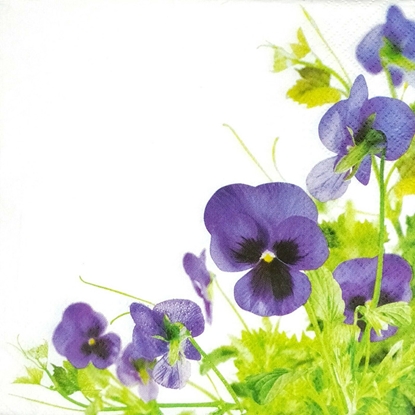 Picture of Salvetes 33x33cm Pansies Frame
