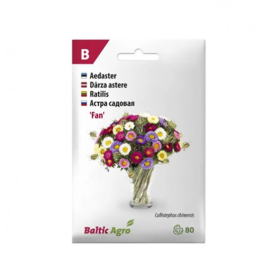 Picture of Sēklas Asteres Ķīnas Fan Mix 80gab.