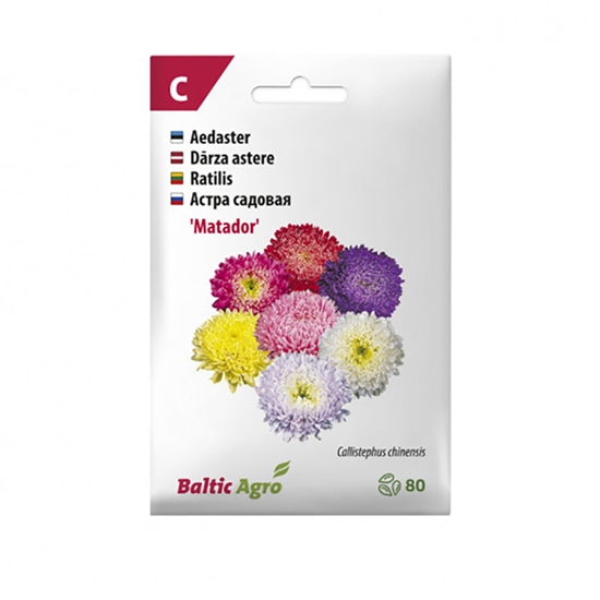 Picture of Sēklas Asteres Ķīnas Matador Mix 80gab.
