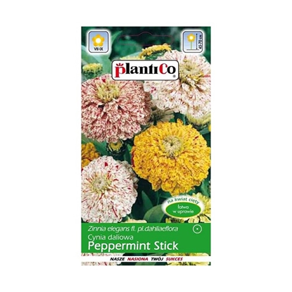 Picture of Sēklas Cinnija Peppermint Stick 1g