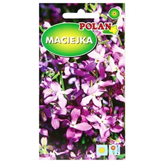 Picture of Sēklas Matiolas 5g