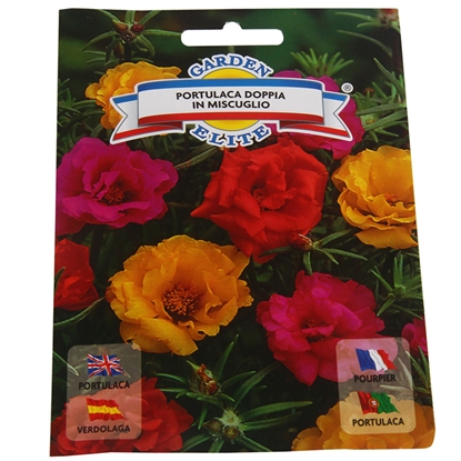 Attēls no Sēklas Portulaka pildīta mix 0.4g GS