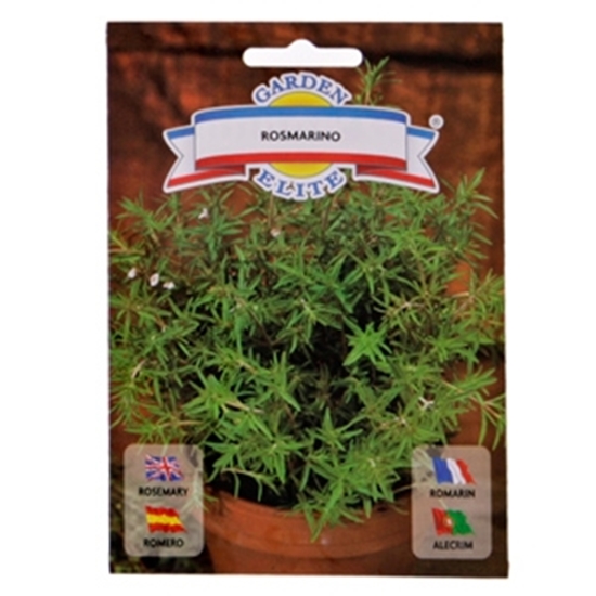 Picture of Sēklas Rozmarīns 0.17g