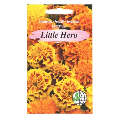 Picture of Sēklas Samtene Little Hero mix AMC 30s