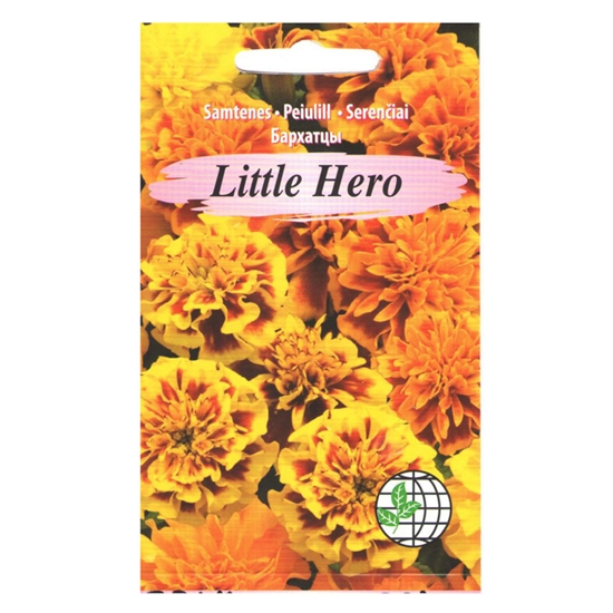 Picture of Sēklas Samtene Little Hero mix AMC 30s