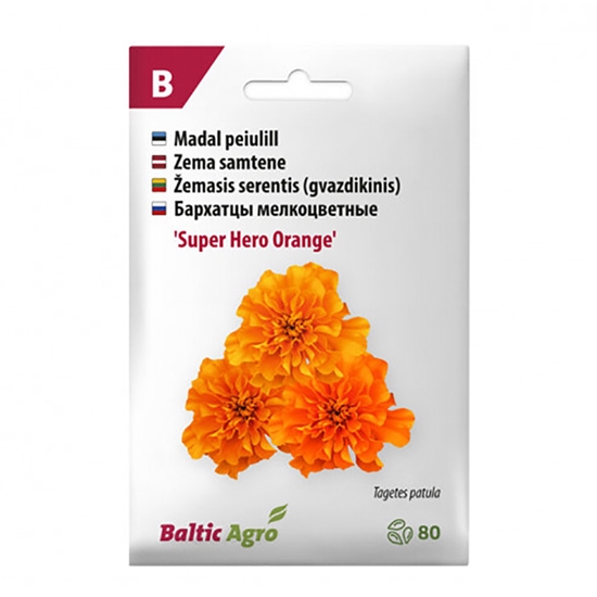 Picture of Sēklas Samtenes Super Hero Orange 80gab.