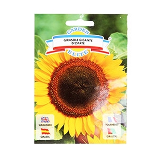 Picture of Sēklas Saulespuķes klajās 1.7g