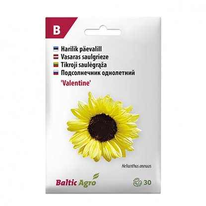 Picture of Sēklas Saulespuķes Valentine 30gab.