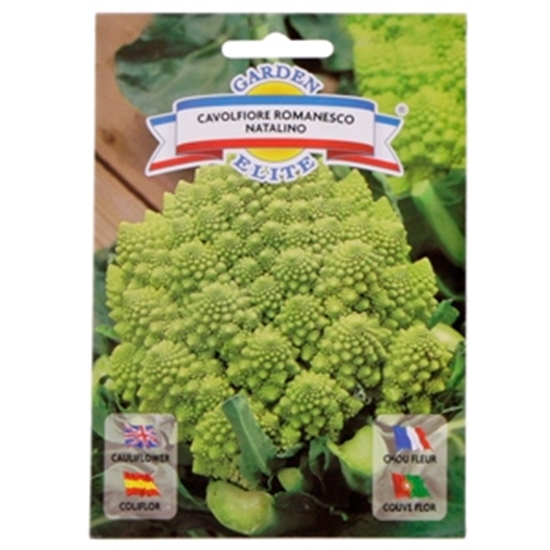 Изображение Sēklas Ziedkāposts Beta 1g