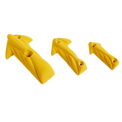 Picture of Arrow Muscle