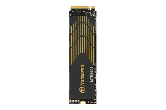 Picture of Transcend SSD MTE250S        2TB NVMe PCIe Gen4 x4 3D TLC
