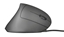 Picture of Trust Verto mouse Right-hand USB Type-A Optical 1600 DPI