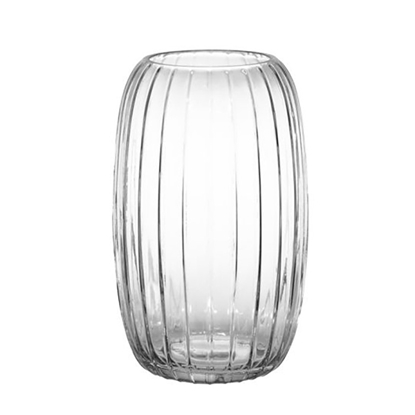 Attēls no Vāze Fanni K Tyyni clear 25cm