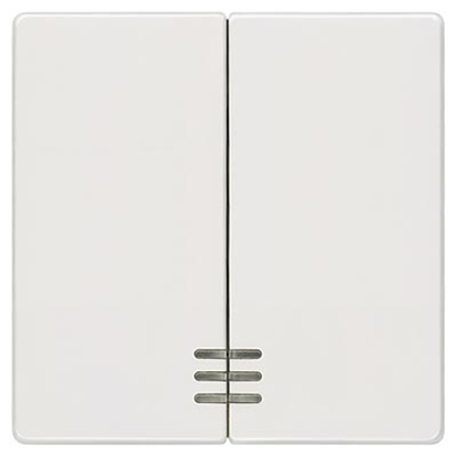 Изображение Taustiņš titānb.2pol.5TG6204 ar ind.                     