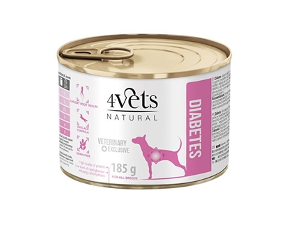 Picture of 4VETS Natural Diabetes Dog - wet dog food - 185 g
