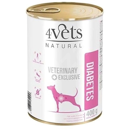 Attēls no 4VETS Natural Diabetes Dog - wet dog food - 400 g