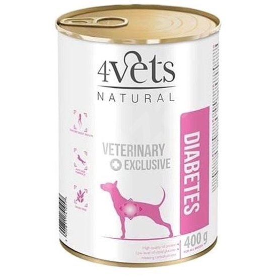Picture of 4VETS Natural Diabetes Dog - wet dog food - 400 g