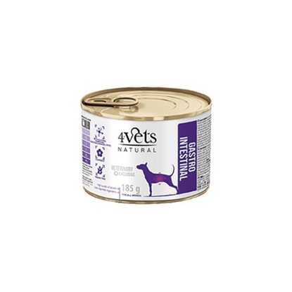 Picture of 4VETS Natural Gastro Intestinal Dog - wet dog food - 185 g