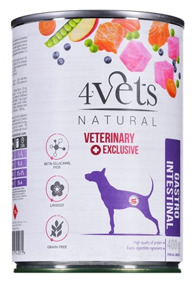 Picture of 4VETS Natural Gastro Intestinal Dog - wet dog food - 400 g