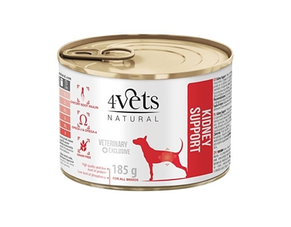 Attēls no 4VETS Natural Kidney Support Dog - wet dog food - 185 g