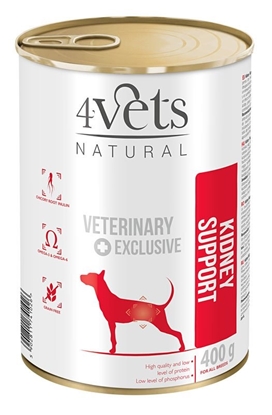 Attēls no 4VETS Natural Kidney Support Dog - wet dog food - 400 g