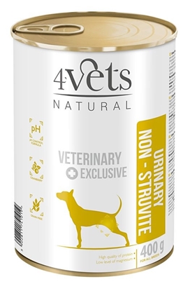 Picture of 4VETS Natural Urinary No Struvit Dog - wet dog food - 400 g