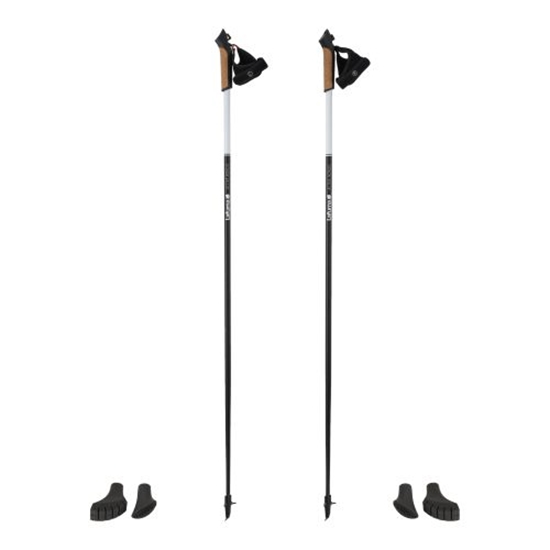 Изображение Active Nordic Pairs