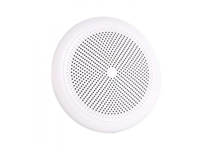 Picture of AMP Pro WP 5