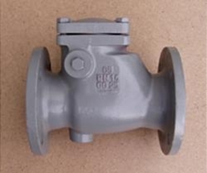 Picture of Dn100 Pretvārsts čug.atl.302-01 Pn16