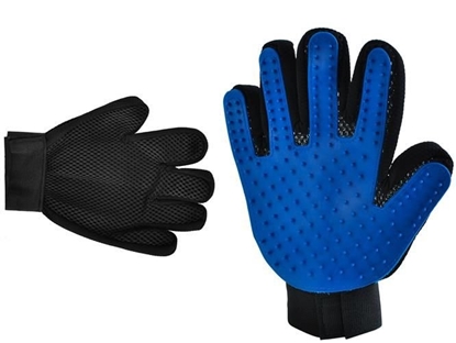 Picture of DOY Pet Brushing and Massage Gloves (00005405)