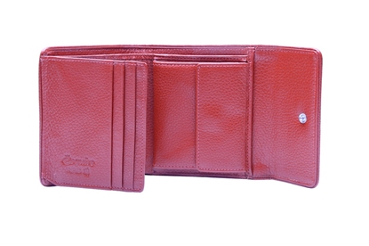 Picture of ESQUIRE WALLET PIPING, Black/Red