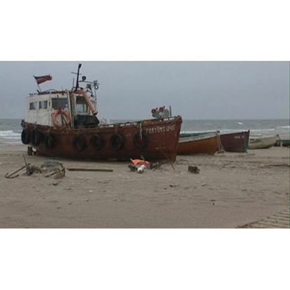 Attēls no Melnais Nārsts (DVD)