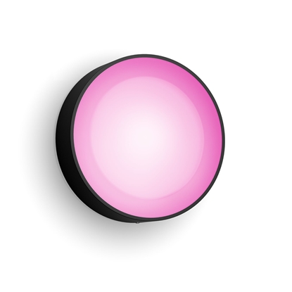 Picture of Philips Hue White and colour ambience Daylo Outdoor wall light